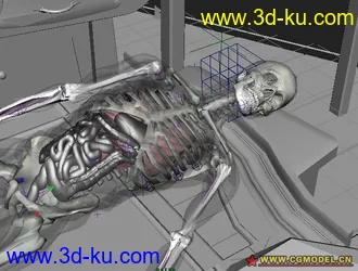 3D打印模型透明人分享的图片