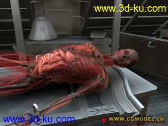 3D打印模型透明人分享的图片