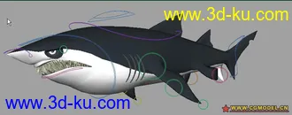 3D打印模型设置好的鲨鱼的图片