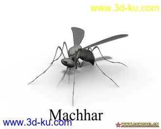 3D打印模型精品蚊子一只有设置的图片