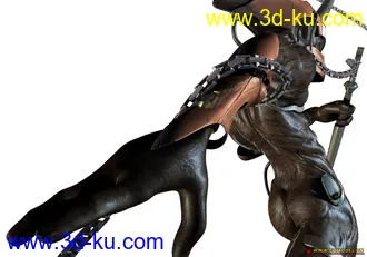 以前在学校做的生物模型的图片