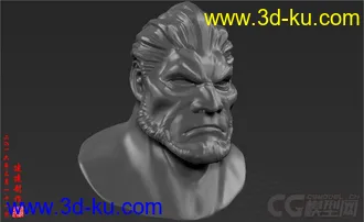 超赞！超霸气！超人气！ZBrush模型：人头的图片