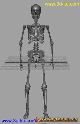 3D打印模型骷髅一副的图片