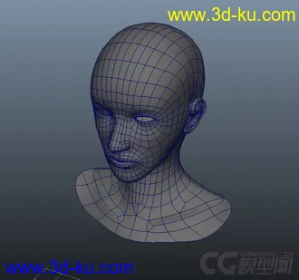 女孩子头，人头，头部模型的图片