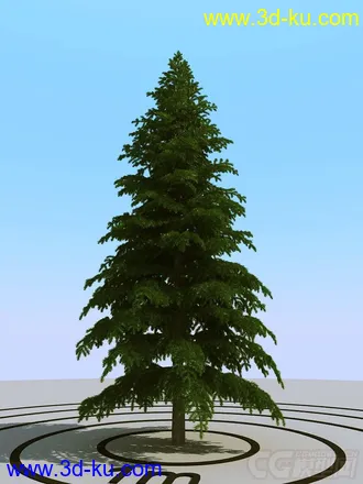 3D打印模型雪松的图片