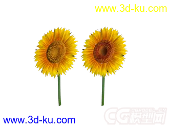 3D打印模型向日葵面数少低模的图片