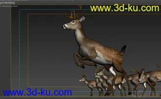 3D打印模型梅花鹿的多种绑定的图片