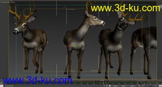 3D打印模型梅花鹿的多种绑定的图片