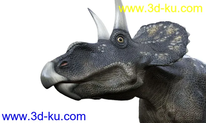 免费高清带绑定贴图的棘龙,Spinosaurus,帆棘龙,棘背龙恐龙,恐龙模型的图片3