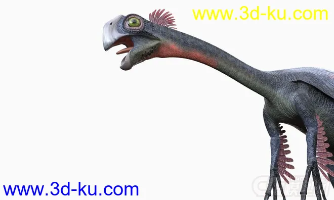 免费高清带绑定贴图的棘龙,Spinosaurus,帆棘龙,棘背龙恐龙,恐龙模型的图片5