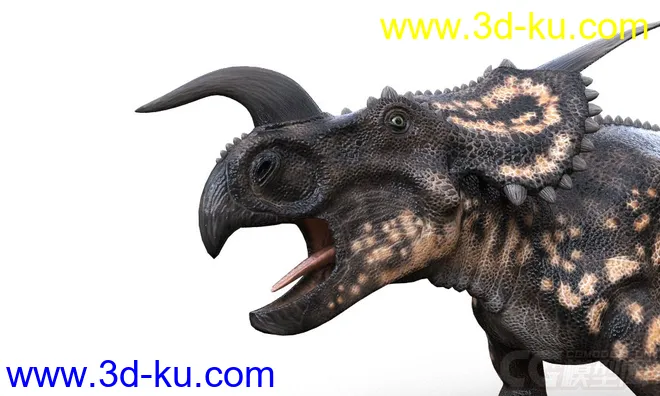 免费高清带绑定贴图的棘龙,Spinosaurus,帆棘龙,棘背龙恐龙,恐龙模型的图片6