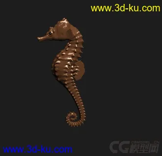 3D打印模型海马精模 海马精模的图片