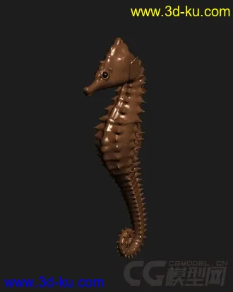 3D打印模型海马精模 海马精模的图片