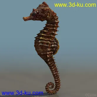 3D打印模型海马精模 海马精模的图片