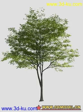 3D打印模型景观行道树的图片