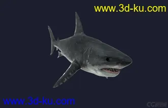 3D打印模型鲨的图片