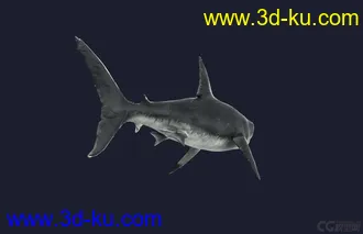 3D打印模型鲨的图片