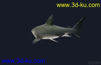 3D打印模型鲨的图片