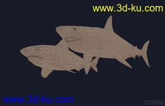 3D打印模型鲨的图片