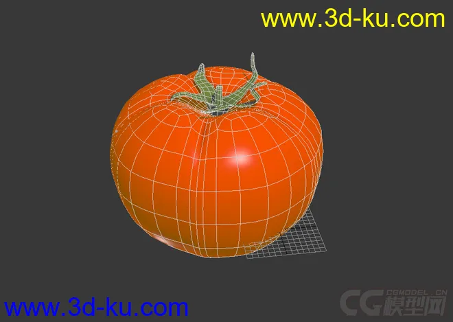 西红柿 番茄 tomato模型的图片2