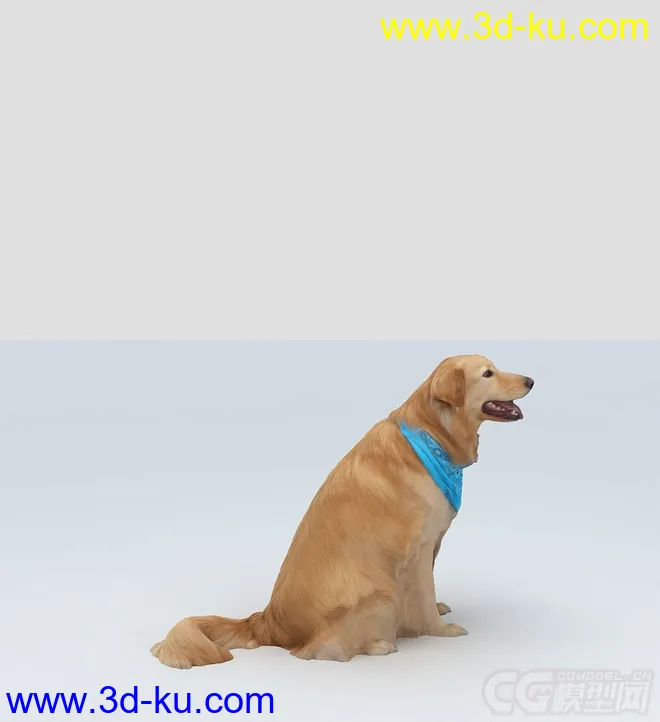 狗狗模型的图片3