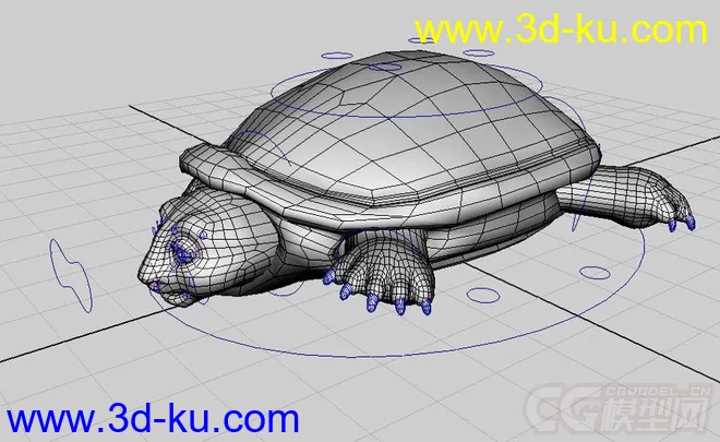 龟 笨龟模型的图片2