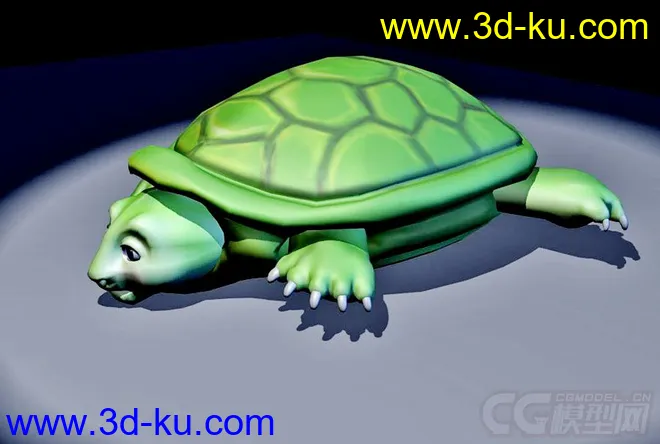 龟 笨龟模型的图片3