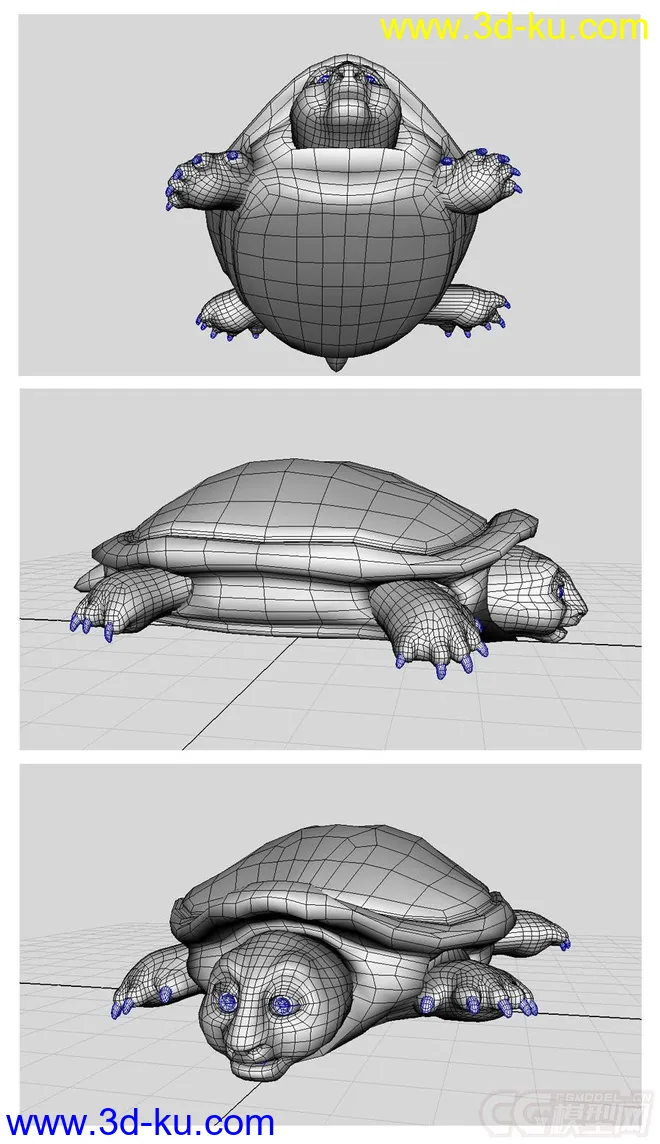 龟 笨龟模型的图片1