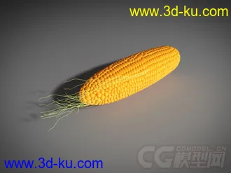 逼真写实【玉米】模型 带贴图材质的图片