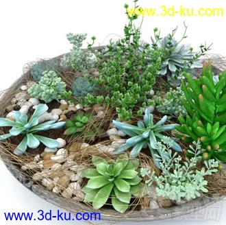 3D打印模型多肉盆栽植物的图片