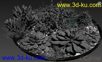 3D打印模型多肉盆栽植物的图片
