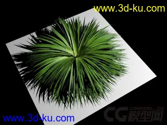 3D打印模型原创麦冬精模的图片