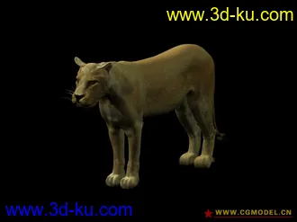 3D打印模型美洲狮...的图片