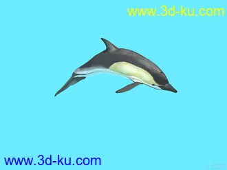 3D打印模型海豚的图片