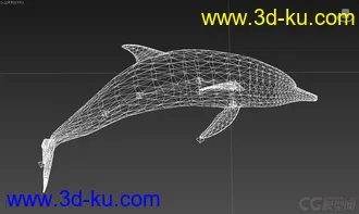 3D打印模型海豚的图片