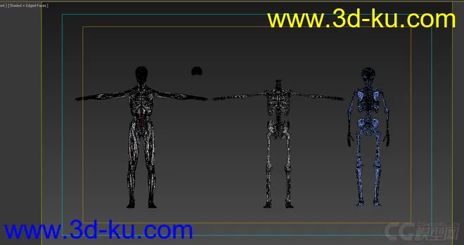 X光 人体骨骼 骷髅模型的图片2