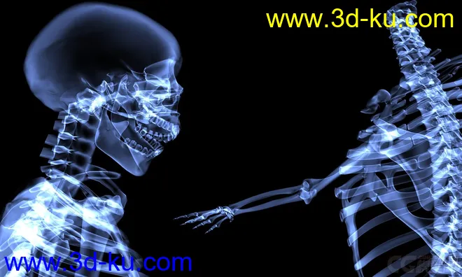 X光 人体骨骼 骷髅模型的图片3