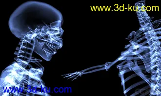 3D打印模型X光 人体骨骼 骷髅的图片