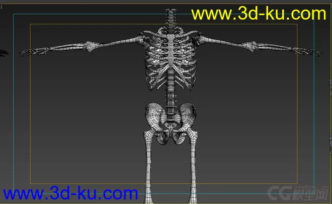 X光 人体骨骼 骷髅模型的图片4