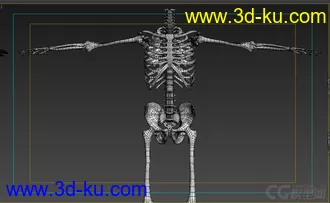 3D打印模型X光 人体骨骼 骷髅的图片