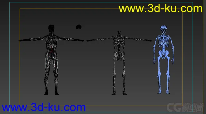 X光 人体骨骼 骷髅模型的图片5