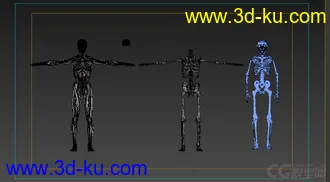 3D打印模型X光 人体骨骼 骷髅的图片