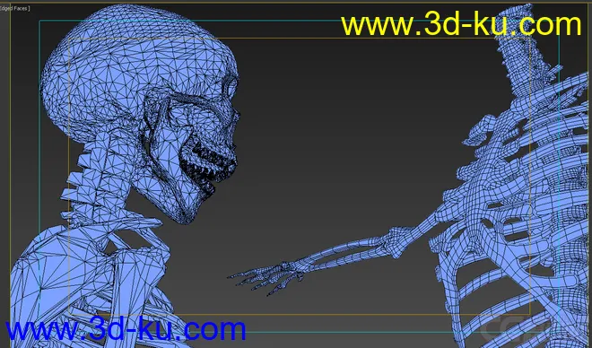 X光 人体骨骼 骷髅模型的图片6
