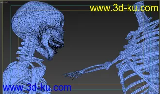 3D打印模型X光 人体骨骼 骷髅的图片