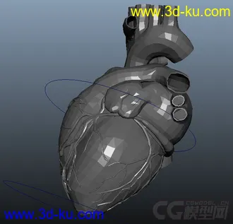 3D打印模型写实心脏 带动画的图片