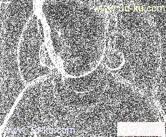 3D打印模型高精度明妃的图片