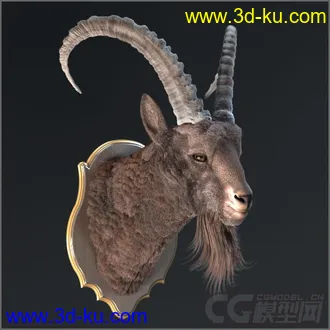 3D打印模型羊头装饰的图片