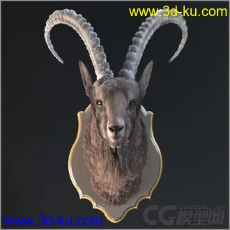 3D打印模型羊头装饰的图片