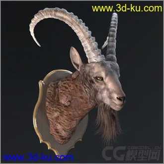 3D打印模型羊头装饰的图片