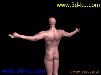 3D打印模型male的图片